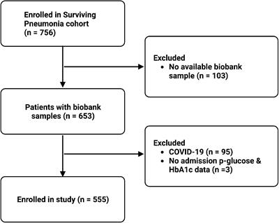 Inflammatory and endothelial host responses in community-acquired pneumonia: exploring the relationships with HbA1c, admission plasma glucose, and glycaemic gap—a cross-sectional study